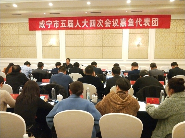 2嘉鱼.jpg