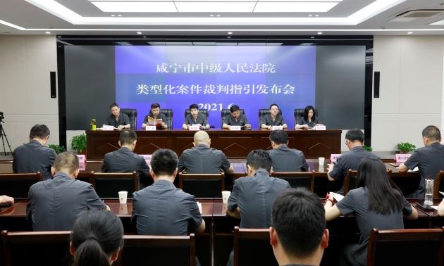 77.2021年6月15日，咸宁中院召开类型化案件裁判指引发布会.jpg