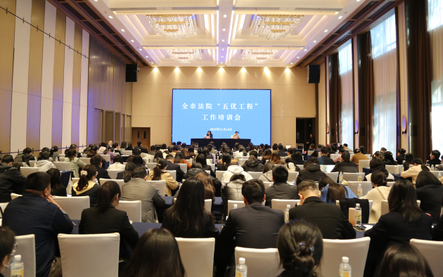 2025年11月14日，青春赋能，研思致远——全市法院“五优工程”工作培训会召开.jpg