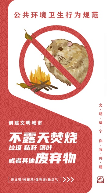 图片 (5).jpg