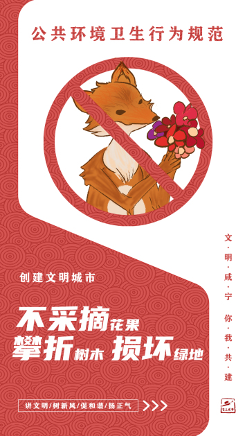 图片 (11).jpg